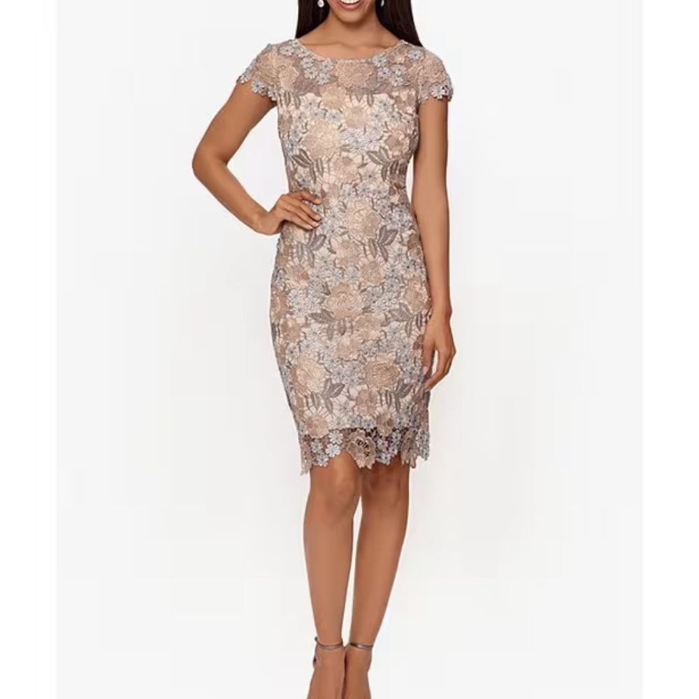 Embroidered Floral Lace Sheath
Dress - size 4